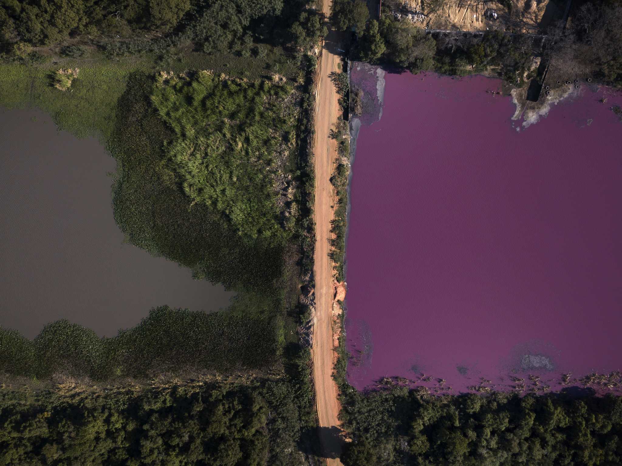 গোলাপি হ্রদ