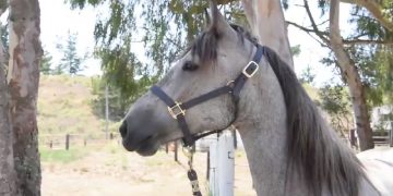 Science Bee Daily Science