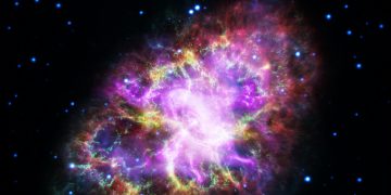 Science Bee Daily Science