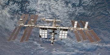 Science Bee Daily Science