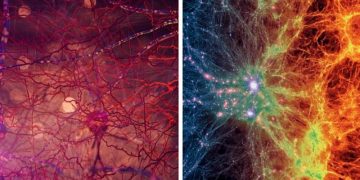 Science Bee Daily Science