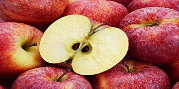 Science Bee Daily Science