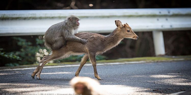 Science Bee Daily Science