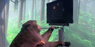 Science Bee Daily Science