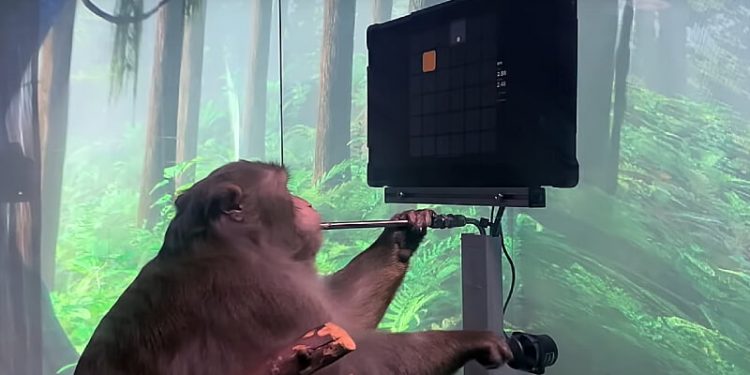 Science Bee Daily Science