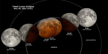 Science Bee Daily Science