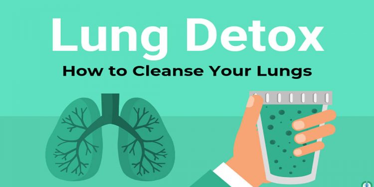 Science Bee Daily Science