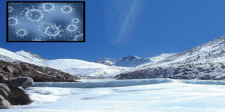 Science Bee Daily Science