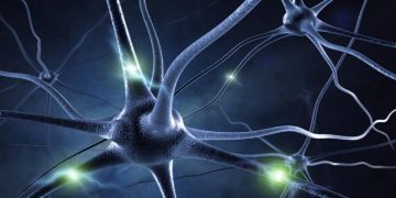 ব্লাড-সুগার-মস্তিষ্ক