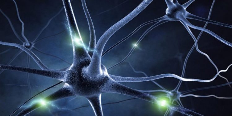 ব্লাড-সুগার-মস্তিষ্ক