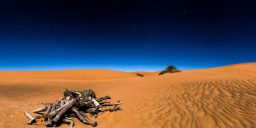 সাহারা-মরুভূমি-সবুজ