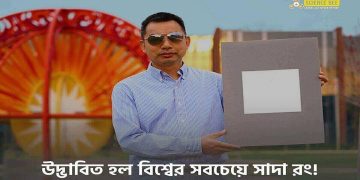 Science Bee Daily Science