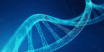 কাইমেরা জমজকে খেয়ে ফেলার গল্প