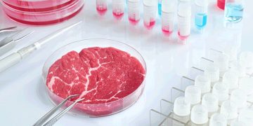 ল্যাবে তৈরি প্রাণিজ প্রোটিন