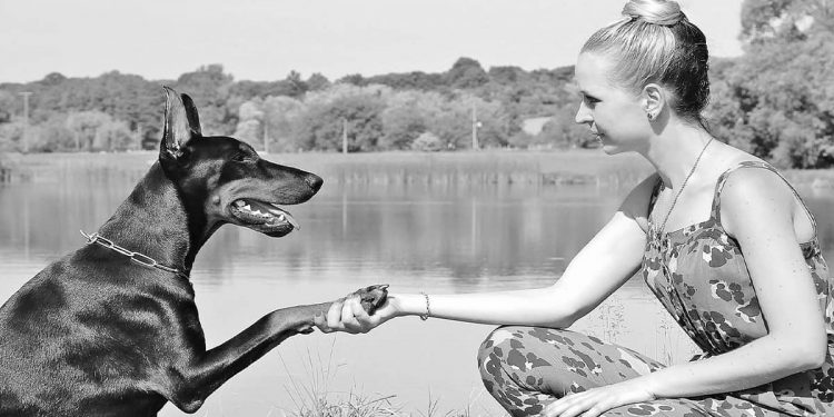 কুকুর তার মনিবের আবেগ বুঝতে সক্ষম – নিছক ধারণা নয়, সত্য!