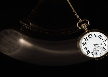 Science Bee Daily Science