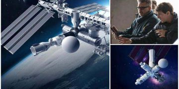 Science Bee Daily Science