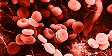 লোহিত রক্ত কণিকা
