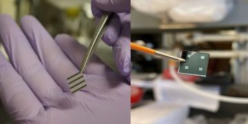 Science Bee Daily Science