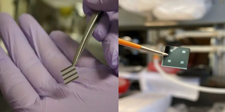 Science Bee Daily Science