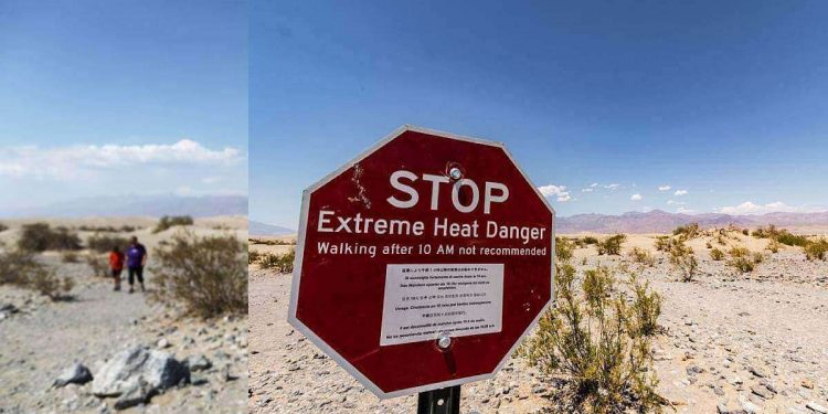 Science Bee Daily Science