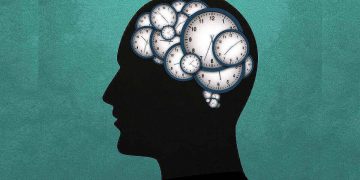 Science Bee Daily Science