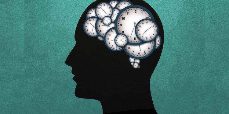 Science Bee Daily Science