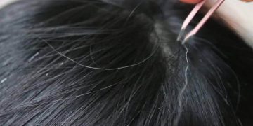 Science Bee Daily Science পাকা চুল ধূসর চুল ইউমেলানিন (Eumelanin) ফিওমেলানিন (Pheomelanin)