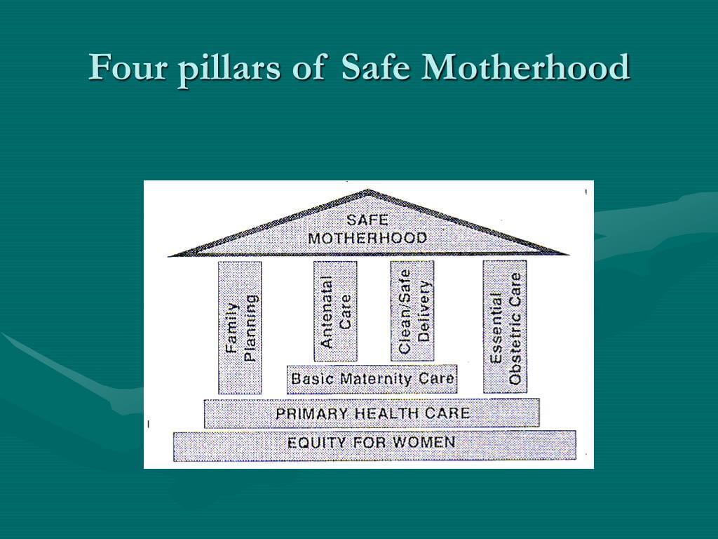 নিরাপদ-মাতৃত্ব-২৮-মে-safe-motherhood