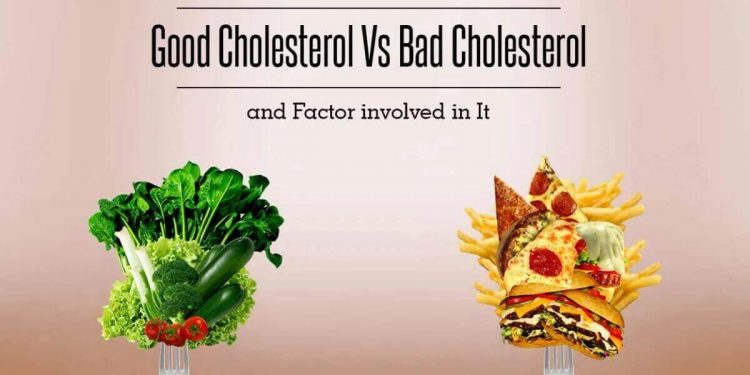 Science Bee Daily Science