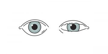 Science Bee Daily Science eye twitching