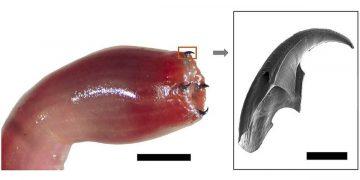 Science Bee Daily Science