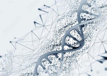 Science Bee Daily Science