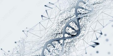 Science Bee Daily Science