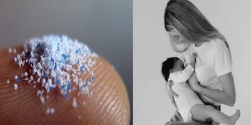 Science Bee Daily Science