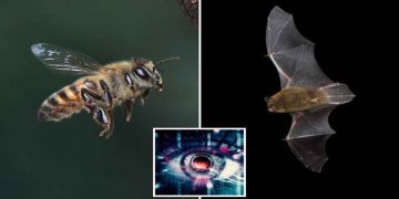 প্রাণীদের সাথে যোগাযোগ এআই