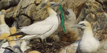 Science Bee Science News বিজ্ঞান সংবাদ