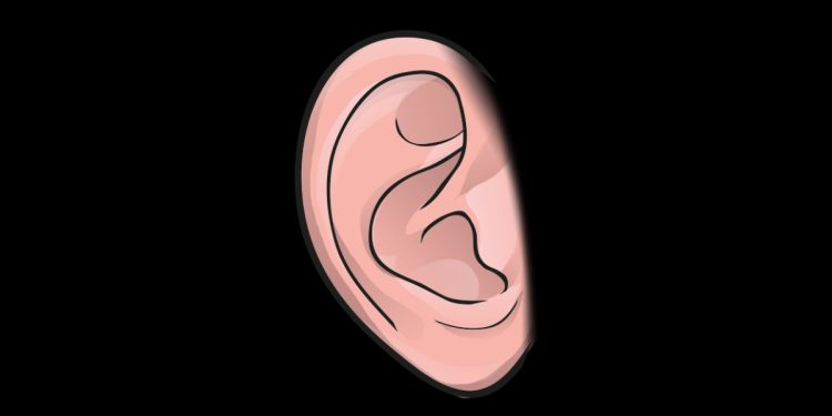 SCIENCE BEE NEW সাধারণ কোষকে রূপান্তরের মাধ্যমে তৈরি করা যাবে কান-বলছে গবেষণা!