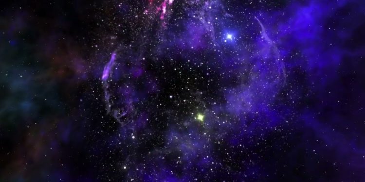 Science Bee Science News