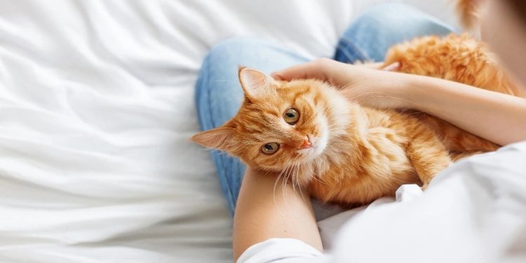 Science Bee Science News