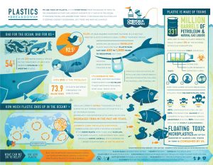 Science Bee Science News
