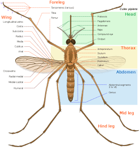 Science Bee Science News