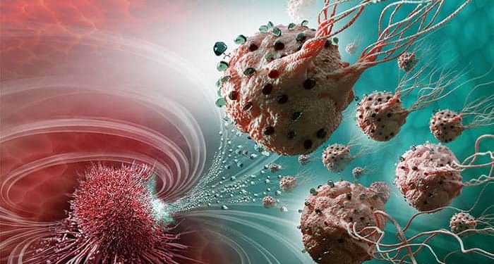 Science Bee Science News