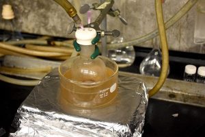 প্লাস্টিক ব্যবহৃত হবে Science Bee Science News