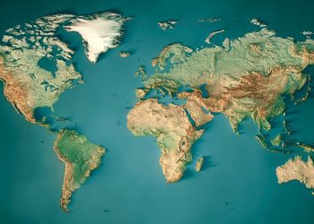 Science bee Science news