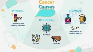 ডায়বেটিস এবং ক্যান্সার  Science Bee Science News