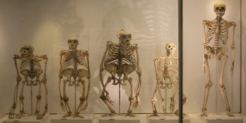 Science bee Science news