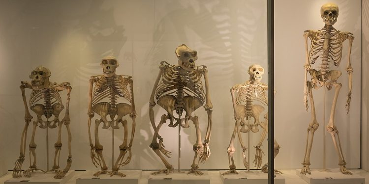 Science bee Science news