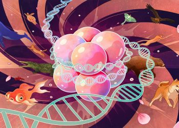 Science bee Science news আণবিক ভাষা
