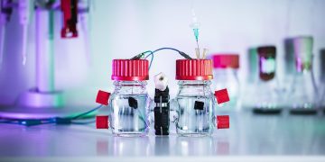 ব্যাকটেরিয়া থেকে বিদ্যুৎ